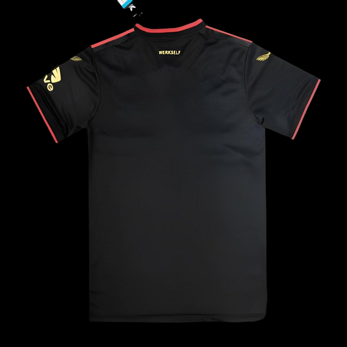 Maillot Edition Spécial Champion Leverkusen 24/25