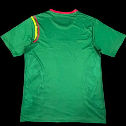 Maillot Domicile Cameroun 24/25