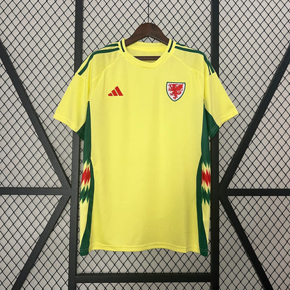 Maillot Extérieur Pays De Galles 24/25